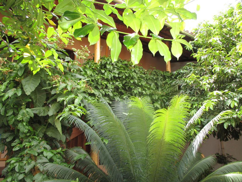 ואלה דה קפאו Pousada Casa De Nomades מראה חיצוני תמונה